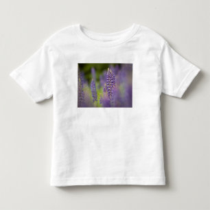 USA, Northeastern Minnesota, near Silver Bay, Toddler T-Shirt