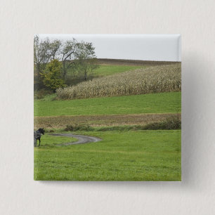 USA, Northeastern Ohio. Amish buggy on farm 15 Cm Square Badge