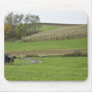 USA, Northeastern Ohio. Amish buggy on farm Mouse Pad