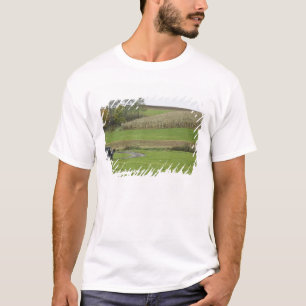 USA, Northeastern Ohio. Amish buggy on farm T-Shirt
