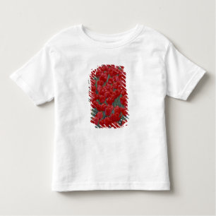 USA, Ohio, Cincinnati. Bed of red tulips Toddler T-Shirt