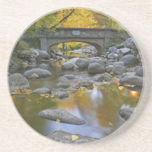 USA, Oregon, Ashland, Lithia Park. Autumn Coaster