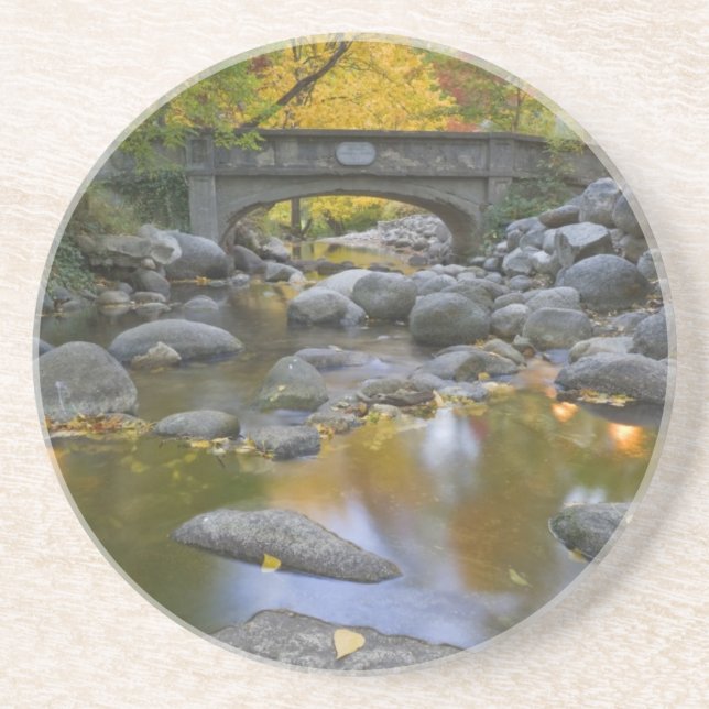 USA, Oregon, Ashland, Lithia Park. Autumn Coaster (Front)