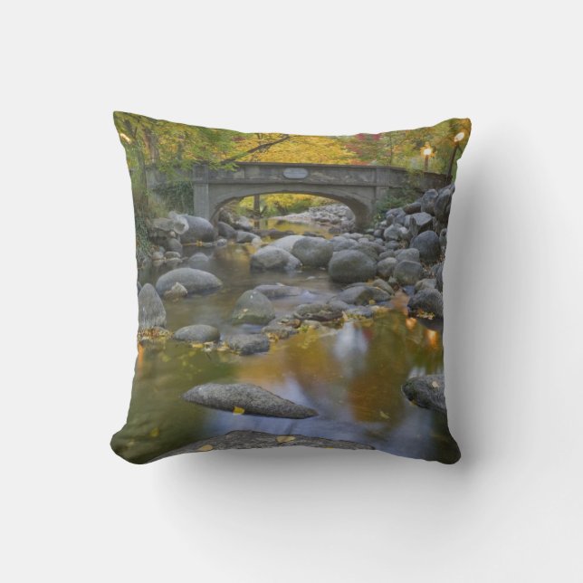 USA, Oregon, Ashland, Lithia Park. Autumn Cushion (Front)