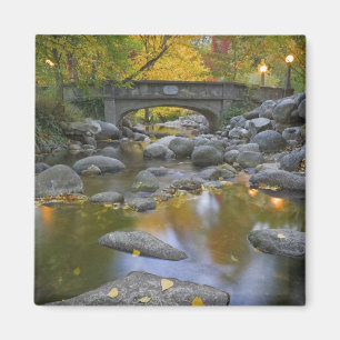 USA, Oregon, Ashland, Lithia Park. Autumn Magnet