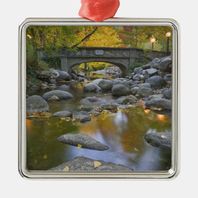 USA, Oregon, Ashland, Lithia Park. Autumn Metal Ornament (Front)
