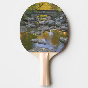 USA, Oregon, Ashland, Lithia Park. Autumn Ping Pong Paddle