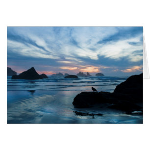 USA, Oregon, Bandon Beach. Seagull on rock