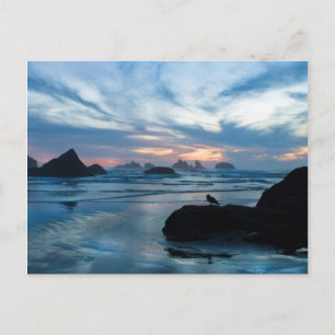 USA, Oregon, Bandon Beach. Seagull on rock Postcard