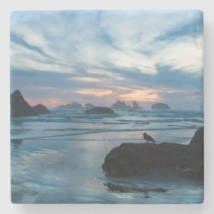 USA, Oregon, Bandon Beach. Seagull on rock Stone Coaster