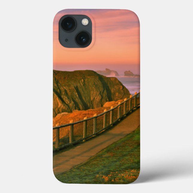 USA, Oregon, Bandon. Rocks Viewed From Trail Case-Mate iPhone Case (Back)