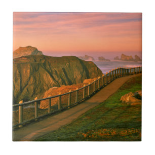 USA, Oregon, Bandon. Rocks Viewed From Trail Ceramic Tile