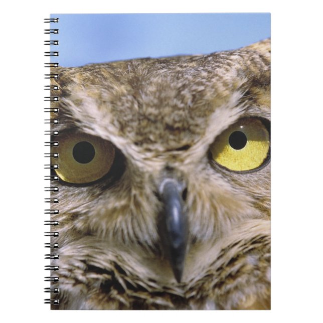 USA, Oregon, Bend. Great Horned Owls are common Notebook (Front)