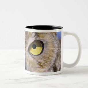 USA, Oregon, Bend. Great Horned Owls are common Two-Tone Coffee Mug