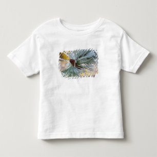 USA, Oregon, Bend. Ponderosa pine needles are Toddler T-Shirt