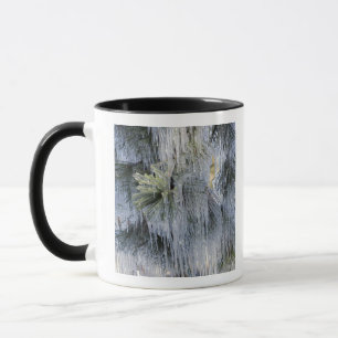 USA, Oregon, Bend. The ice on Ponderosa pine Mug