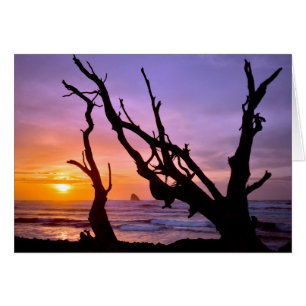 USA, Oregon, Cape Meares. Sunset
