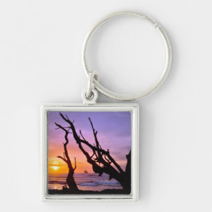 USA, Oregon, Cape Meares. Sunset Key Ring