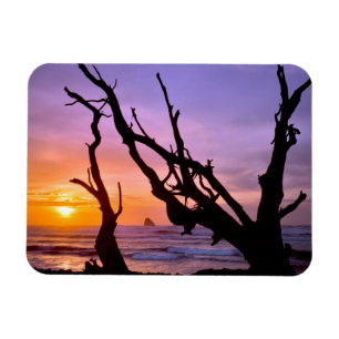 USA, Oregon, Cape Meares. Sunset Magnet