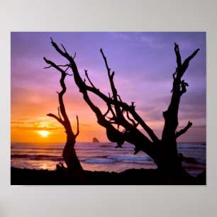 USA, Oregon, Cape Meares. Sunset Poster