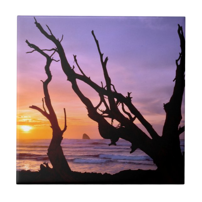 USA, Oregon, Cape Meares. Sunset Tile (Front)