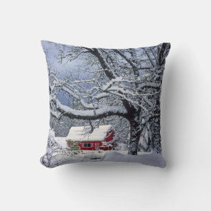 USA, Oregon, Clackamas County. Fresh snow covers Cushion