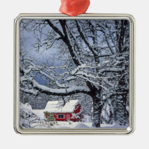 USA, Oregon, Clackamas County. Fresh snow covers Metal Ornament