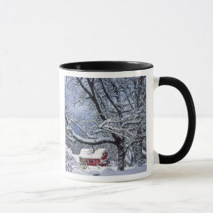 USA, Oregon, Clackamas County. Fresh snow covers Mug