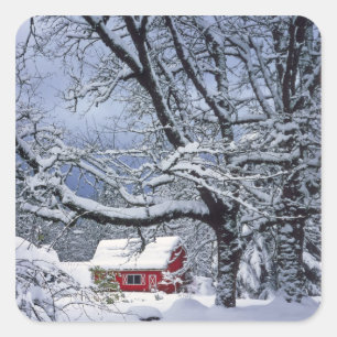 USA, Oregon, Clackamas County. Fresh snow covers Square Sticker