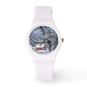 USA, Oregon, Clackamas County. Fresh snow covers Watch