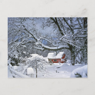 USA, Oregon, Clackamas County. Fresh snow Postcard