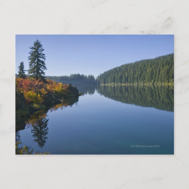 USA, Oregon, Clear Lake Postcard (Front)