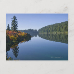 USA, Oregon, Clear Lake Postcard