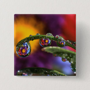 USA, Oregon, Close-up abstract of purple 15 Cm Square Badge