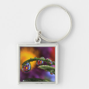 USA, Oregon, Close-up abstract of purple Key Ring