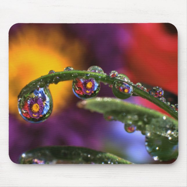 USA, Oregon, Close-up abstract of purple Mouse Pad (Front)