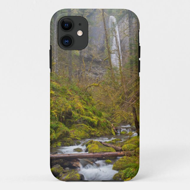 USA, Oregon, Columbia Gorge Case-Mate iPhone Case (Back)
