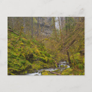 USA, Oregon, Columbia Gorge Postcard