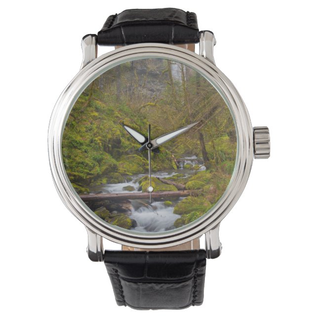 USA, Oregon, Columbia Gorge Watch (Front)