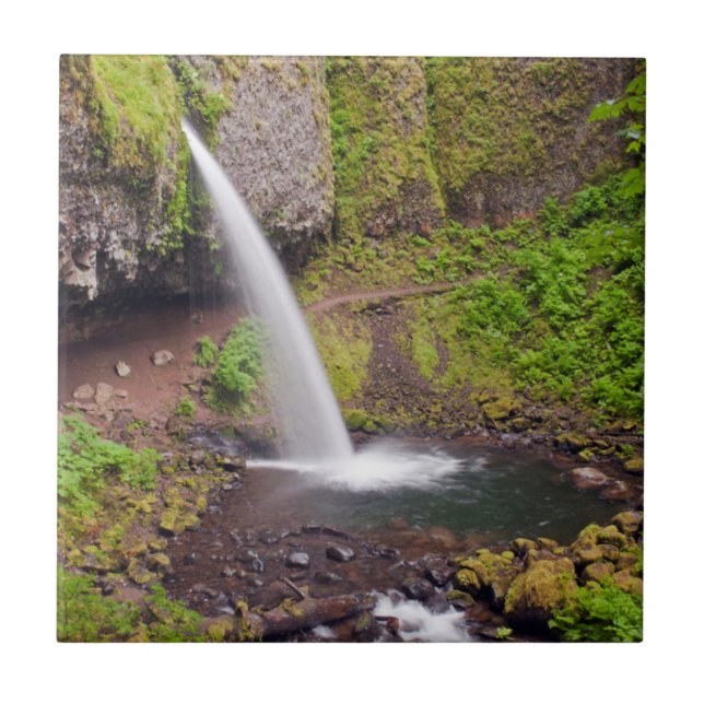 USA, Oregon, Columbia River Gorge 4 Tile (Front)