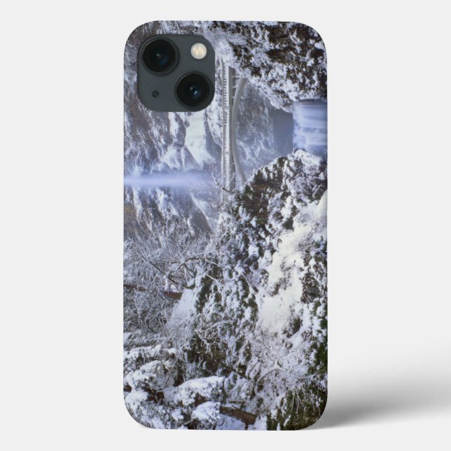 USA, Oregon, Columbia River Gorge Case-Mate iPhone Case (Back)