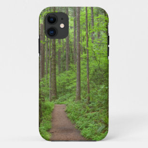 USA, Oregon, Columbia River Gorge. Elowah Falls iPhone 11 Case