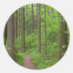 USA, Oregon, Columbia River Gorge. Elowah Falls Classic Round Sticker