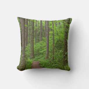 USA, Oregon, Columbia River Gorge. Elowah Falls Cushion
