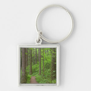 USA, Oregon, Columbia River Gorge. Elowah Falls Key Ring
