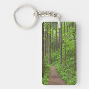 USA, Oregon, Columbia River Gorge. Elowah Falls Key Ring