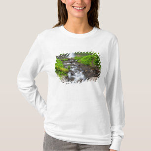 USA, Oregon, Columbia River Gorge, Latourell T-Shirt
