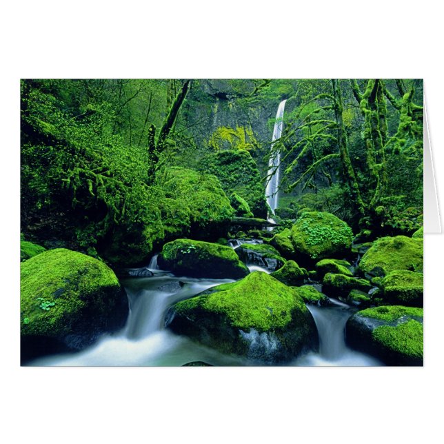 USA, Oregon, Columbia River Gorge National 2 (Front Horizontal)