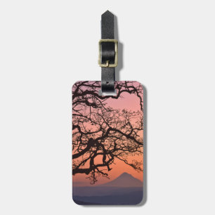 USA, Oregon, Columbia River Gorge National 2 Luggage Tag