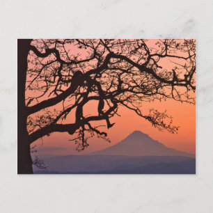 USA, Oregon, Columbia River Gorge National 2 Postcard